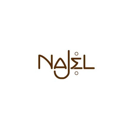 NAJEL_logo