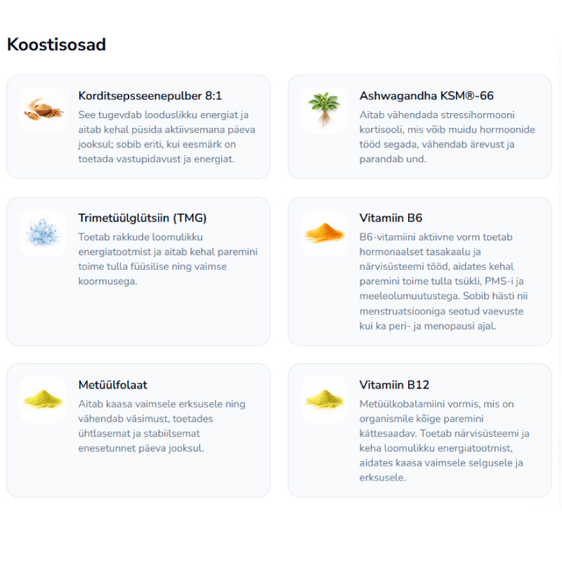 natural-energy-boost-koostisosad